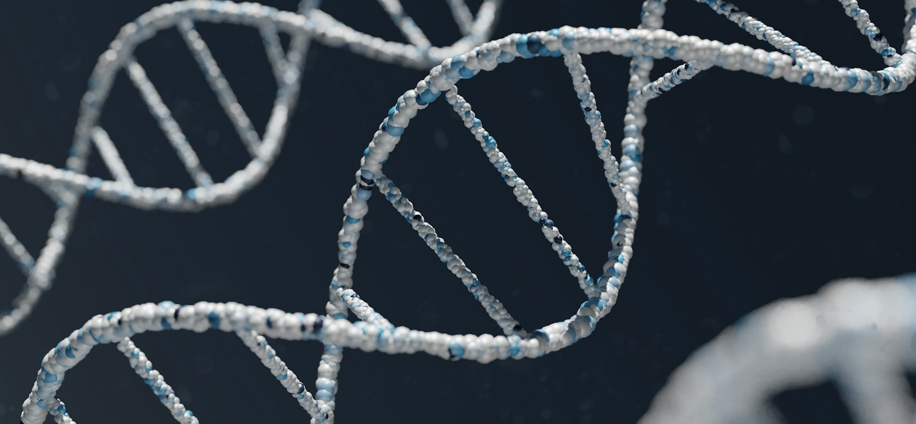 Microscopic image of a DNA strand.