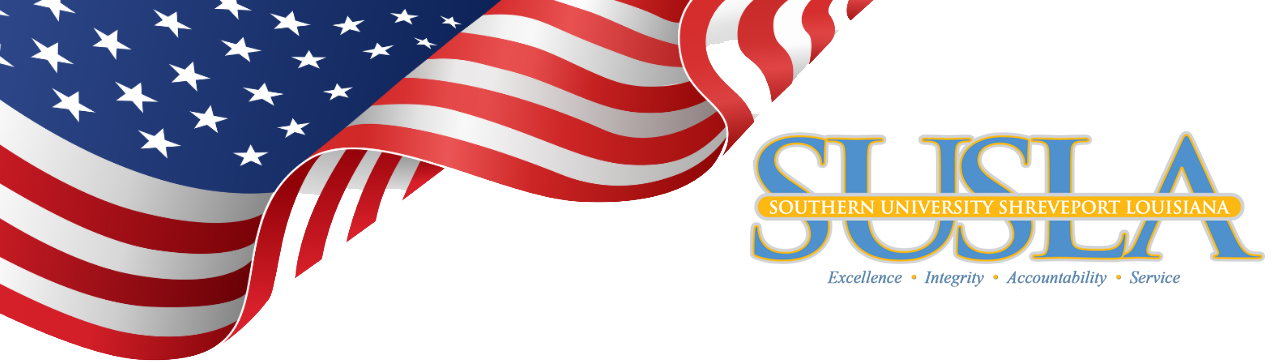 Image of American Flag