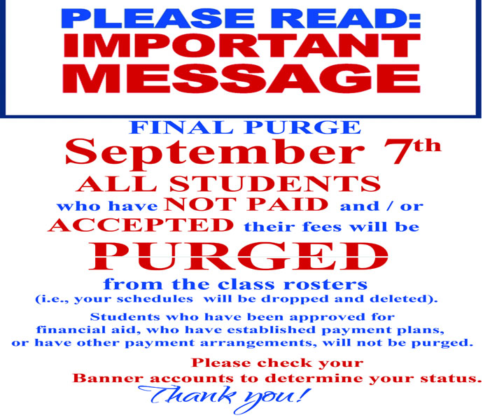 Purge Flyer